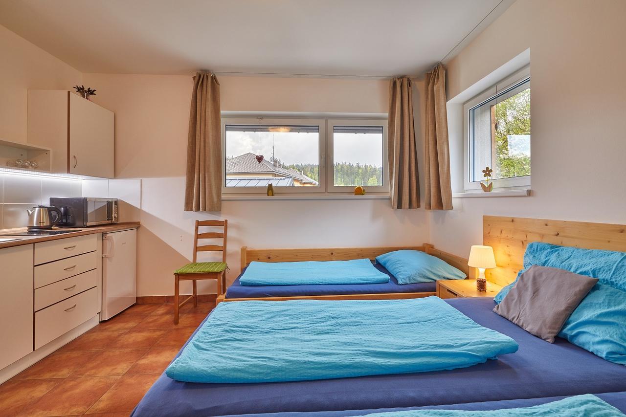 Skipension Janske Lazne Εξωτερικό φωτογραφία
